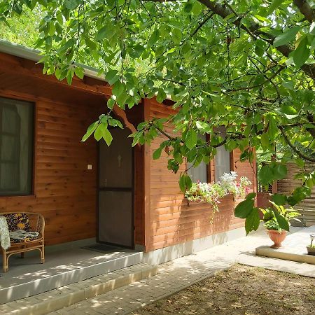 Melinda Nyaralohaz Daire Balatonkenese Dış mekan fotoğraf